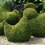 Topiary chickens