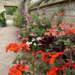 bourton-house-garden-border-created-with-pots