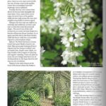 Cotswold-Life-p3
